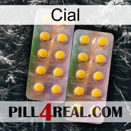 Cial new10